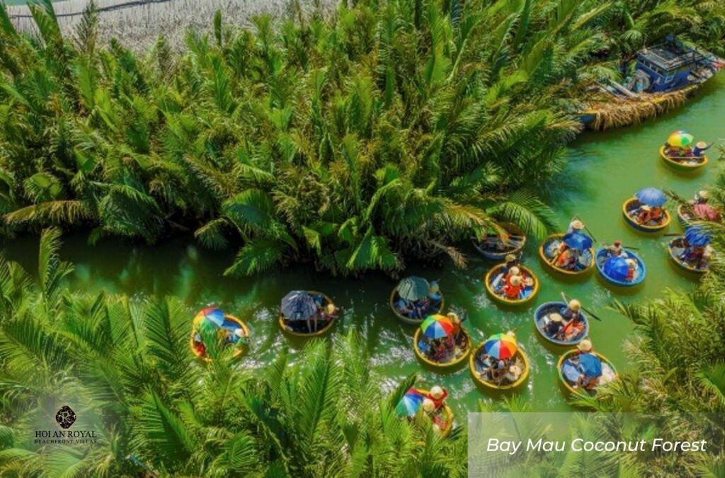Bay Mau Coconut Forest
