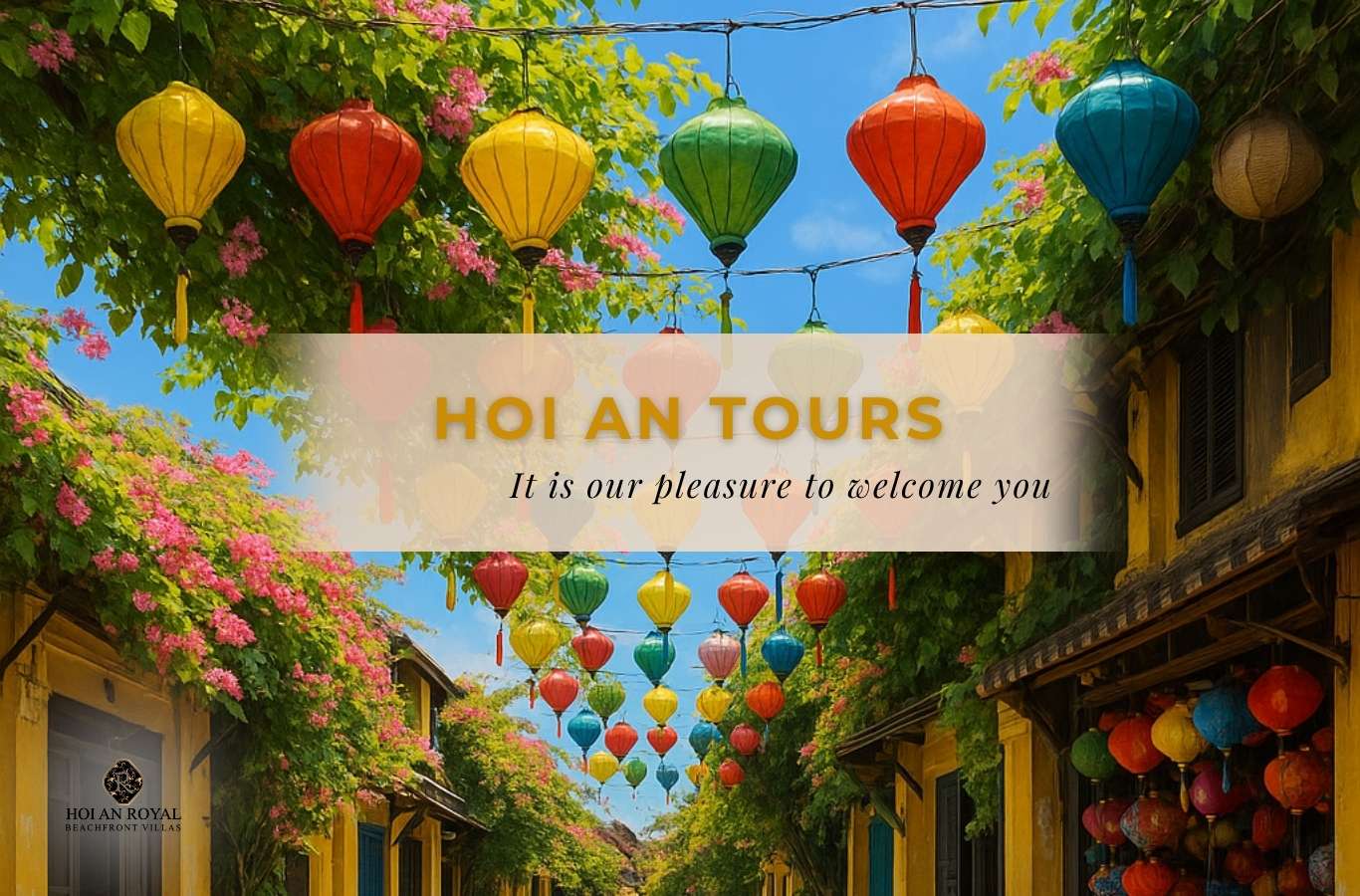 Hoi An Tours or Independent Travel: Which Option Is Best for You?