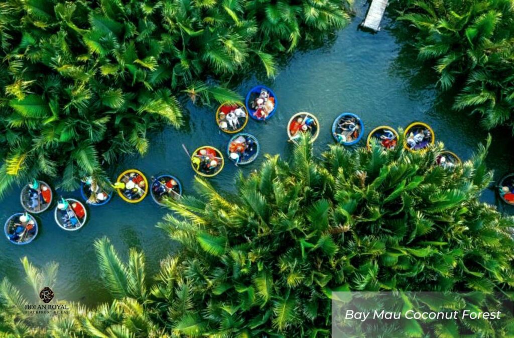Bay Mau Coconut Forest