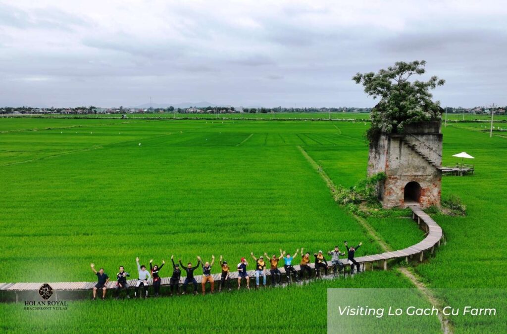 Visit the old brick kiln to learn about Hoi An's traditional brick-making process