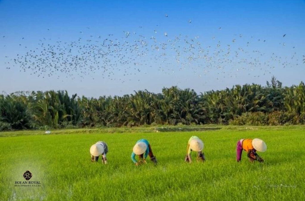 Tra Nhieu Community ecotourism village