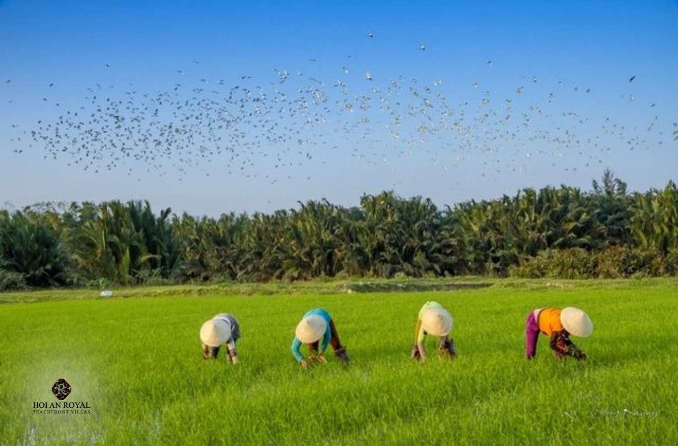 Làng du lịch sinh thái cộng đồng Trà Nhiêu