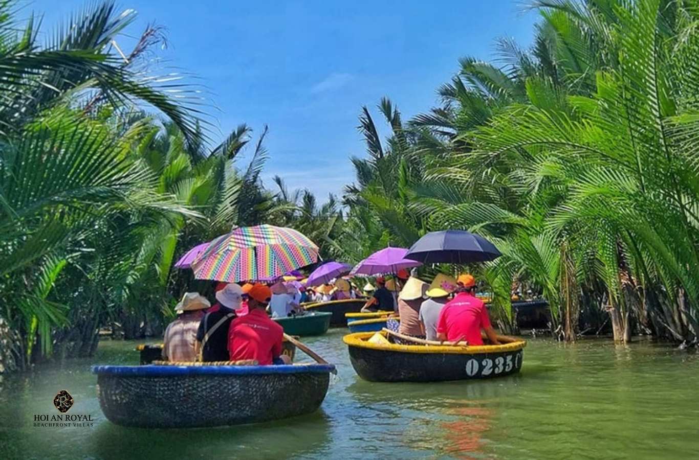 Cảnh rừng dừa Bảy Mẫu Hội An vào buổi sáng sớm với ánh nắng nhẹ