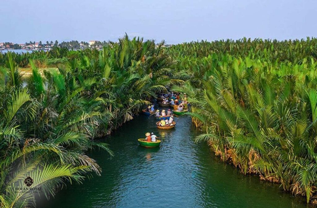 Basket boat ride through coconut groves
