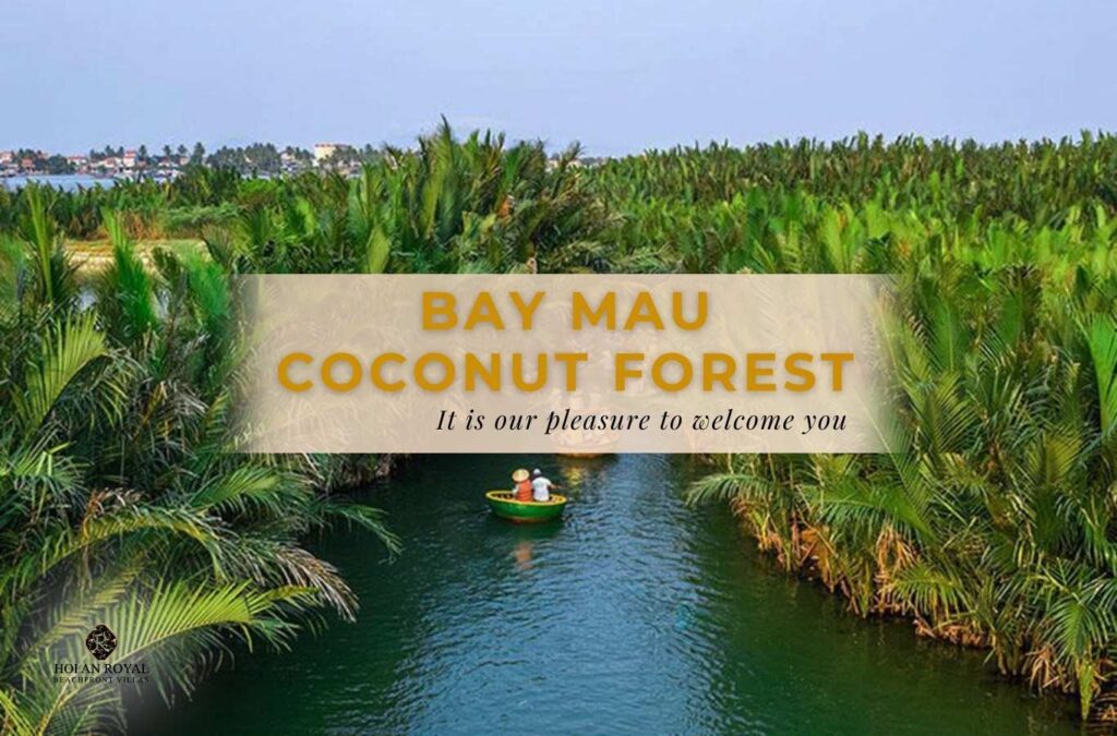 Complete Guide to Exploring the Bay Mau Coconut Forest in Hoi An