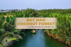 Complete Guide to Exploring the Bay Mau Coconut Forest in Hoi An